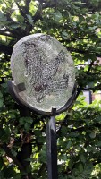 Tuinbeelden - De zon tegemoet