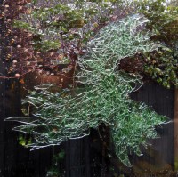 Engelen - Engel, groen