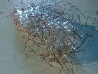 Weefsels - Wolk