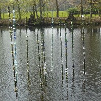 Glas voor in de vijver-3